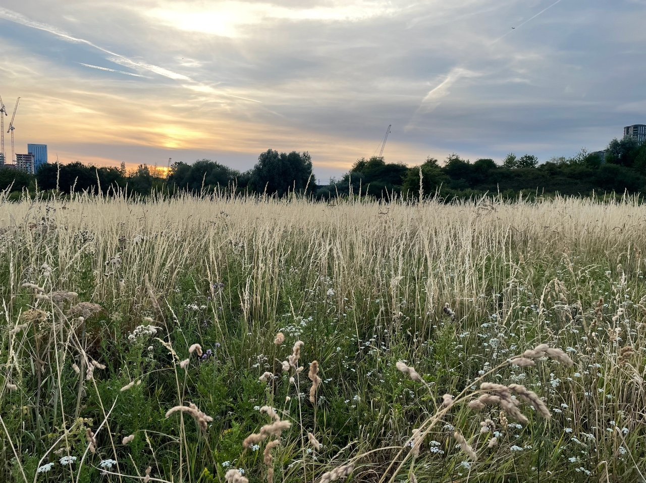 Nature's Neighbours - Citizen Science event