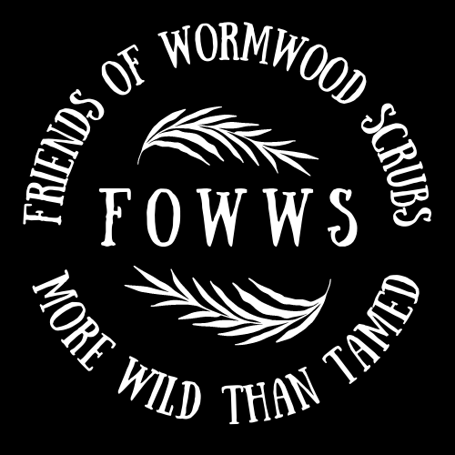 AGM Minutes — Friends of Wormwood Scrubs