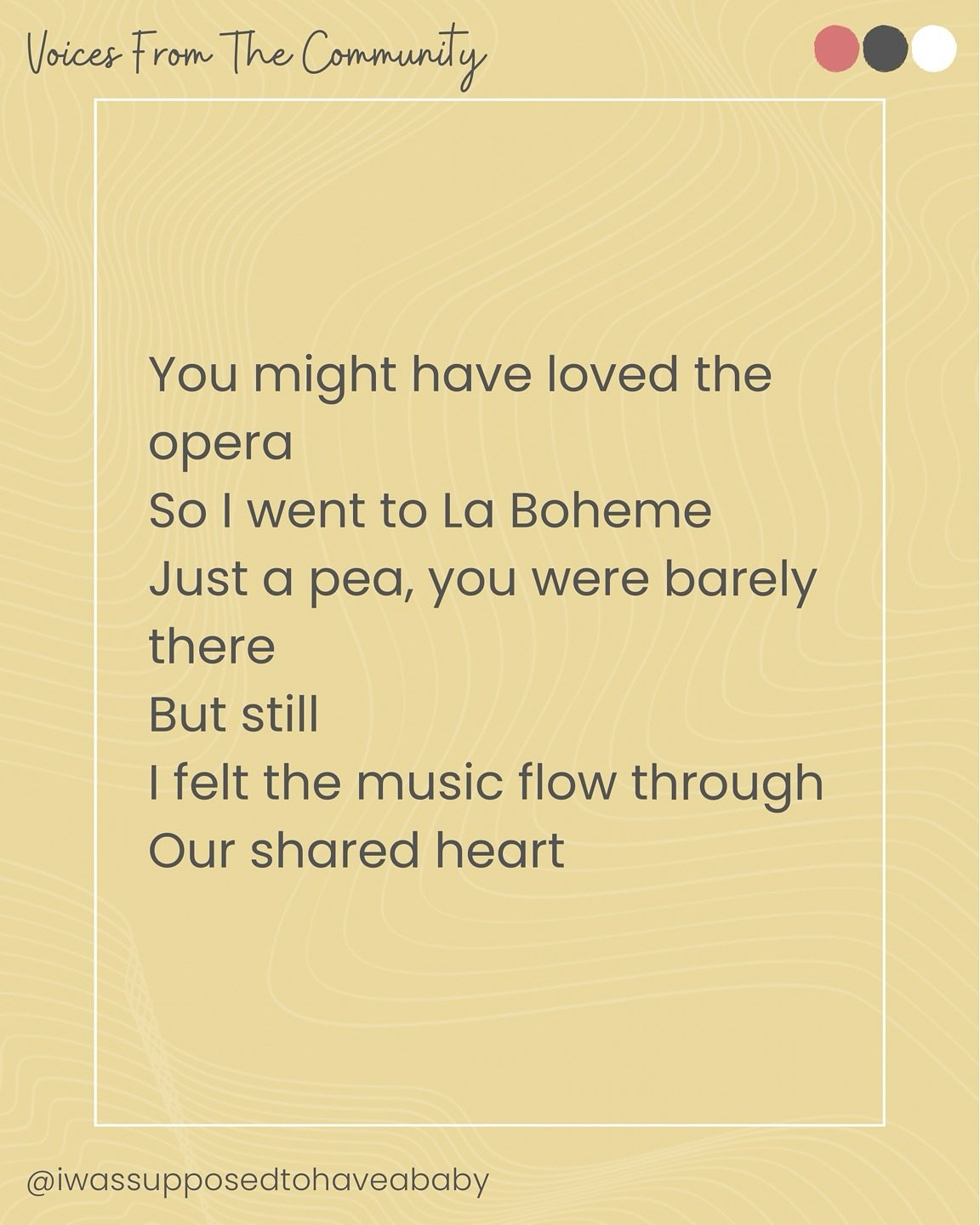 You Might Have Loved the Opera