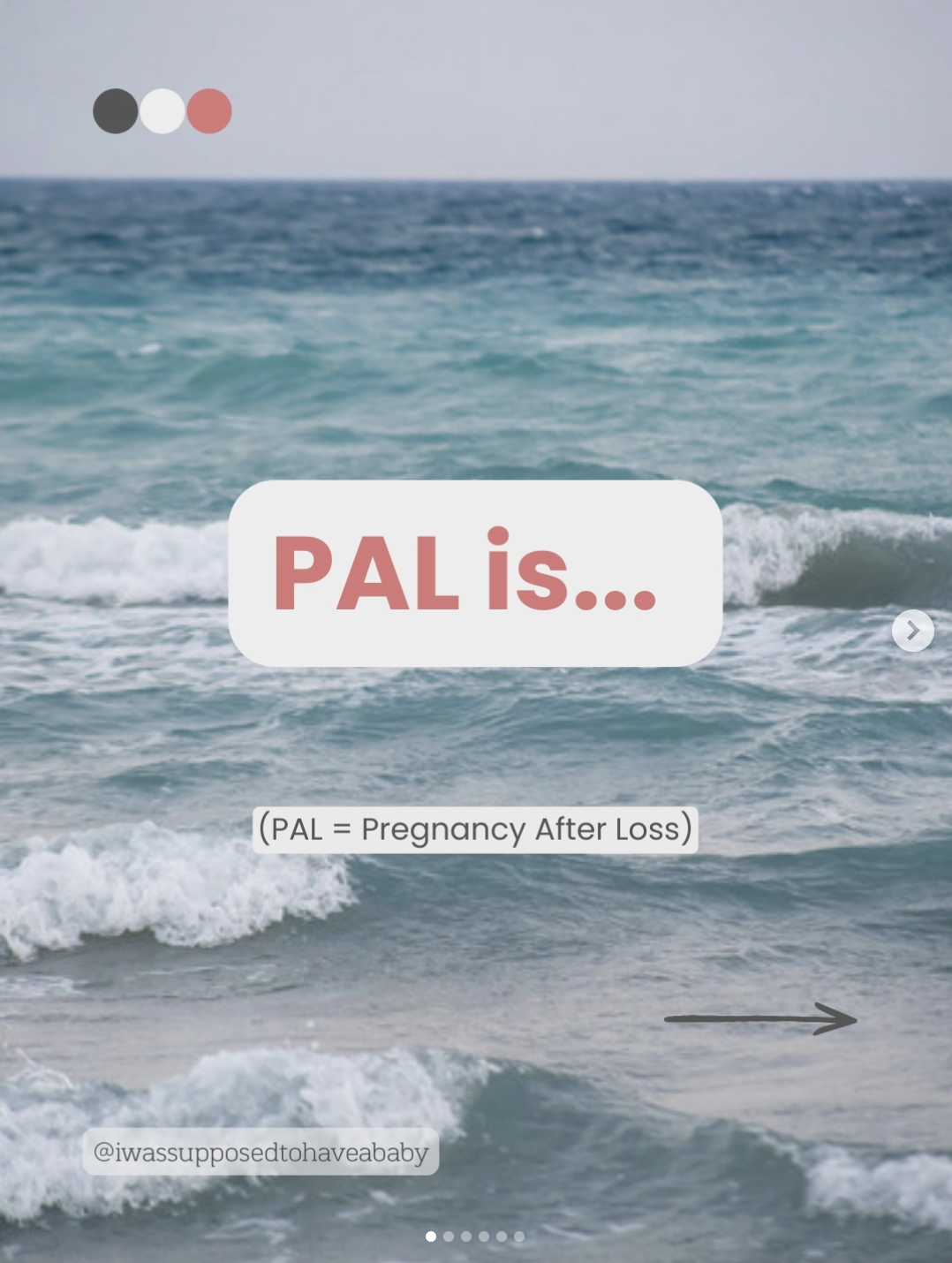 PAL is…