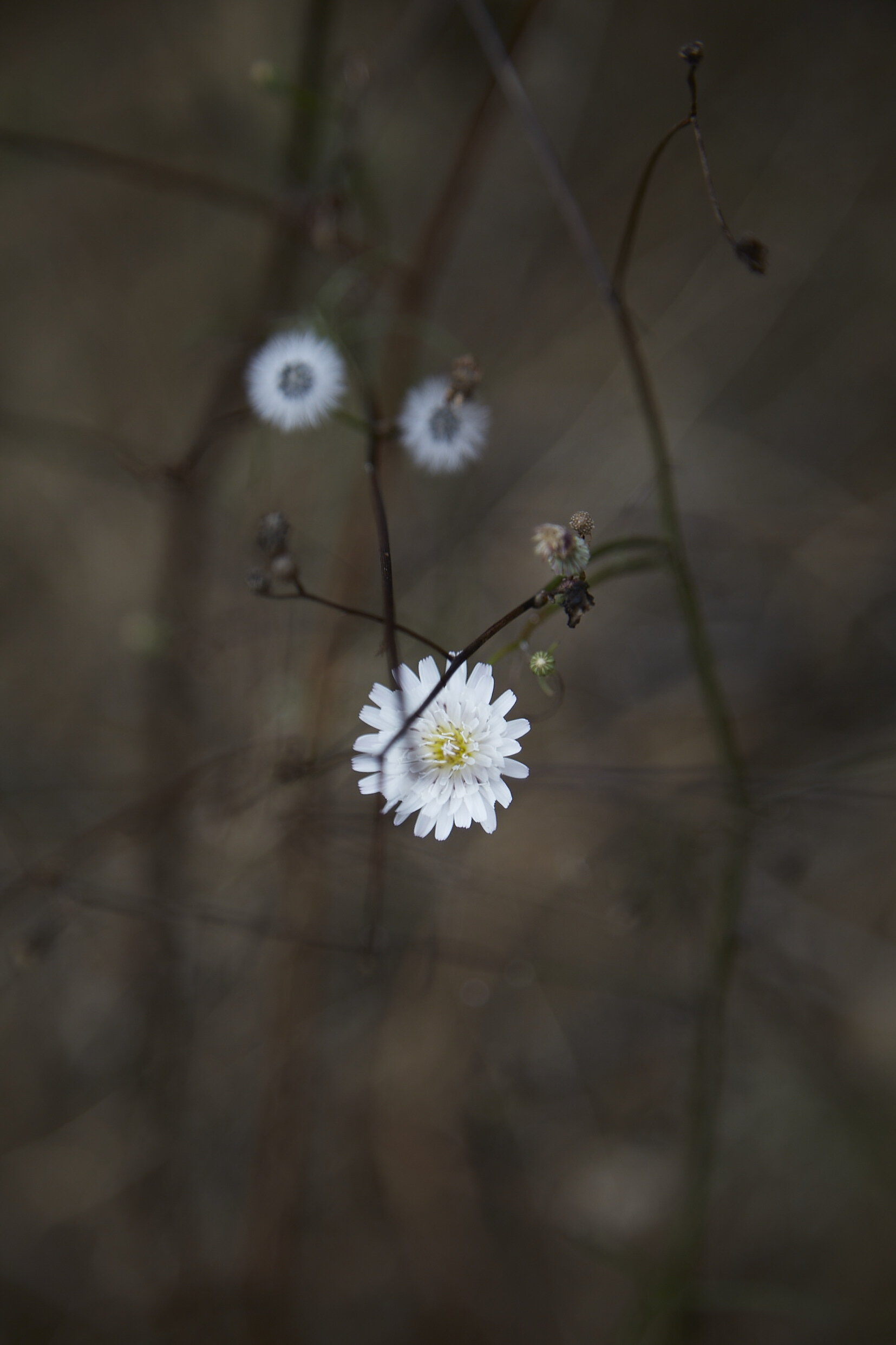 A67A0500.jpg