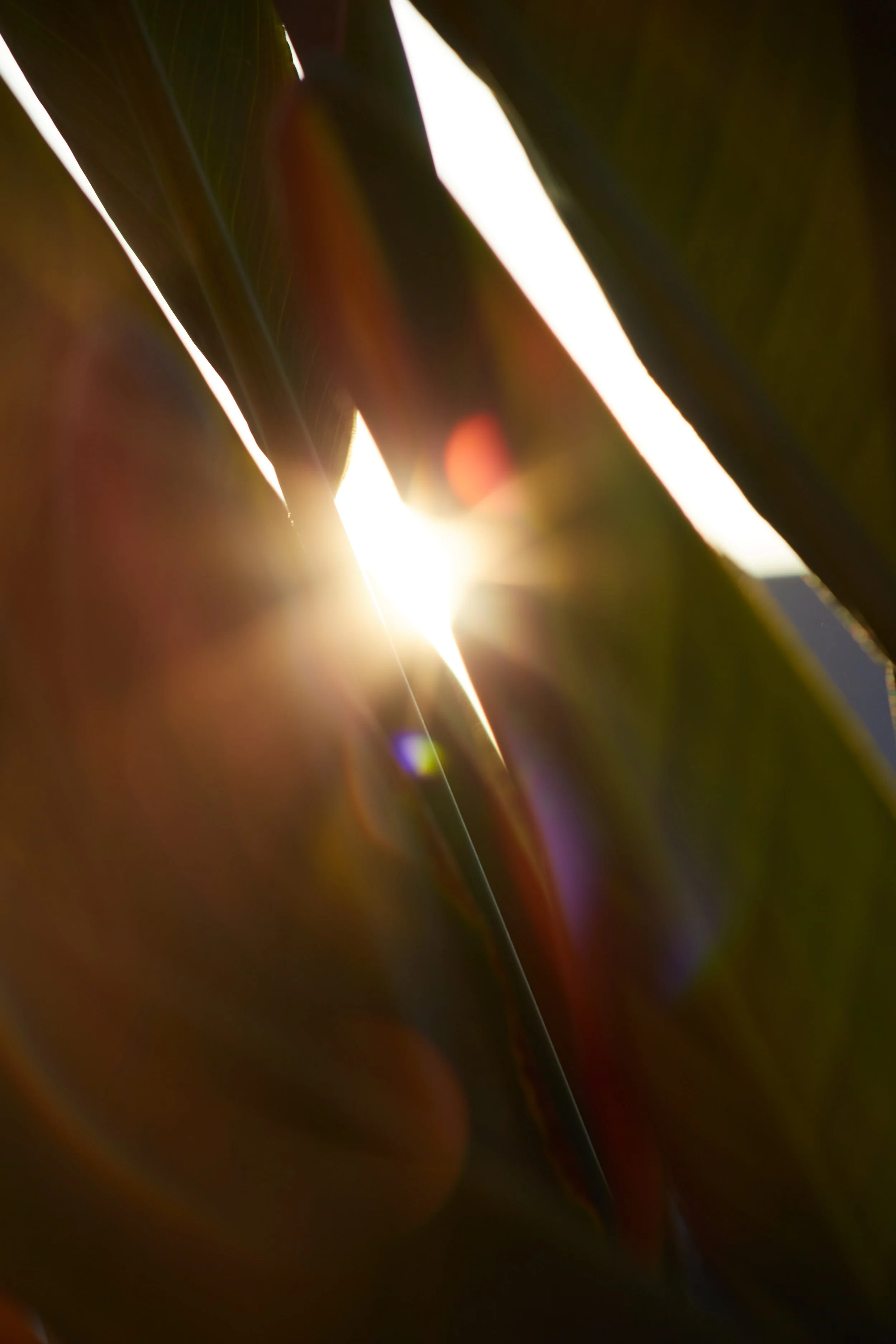 40C5156B-81F5-49A6-AA88-AB912D8A8935 2.JPG