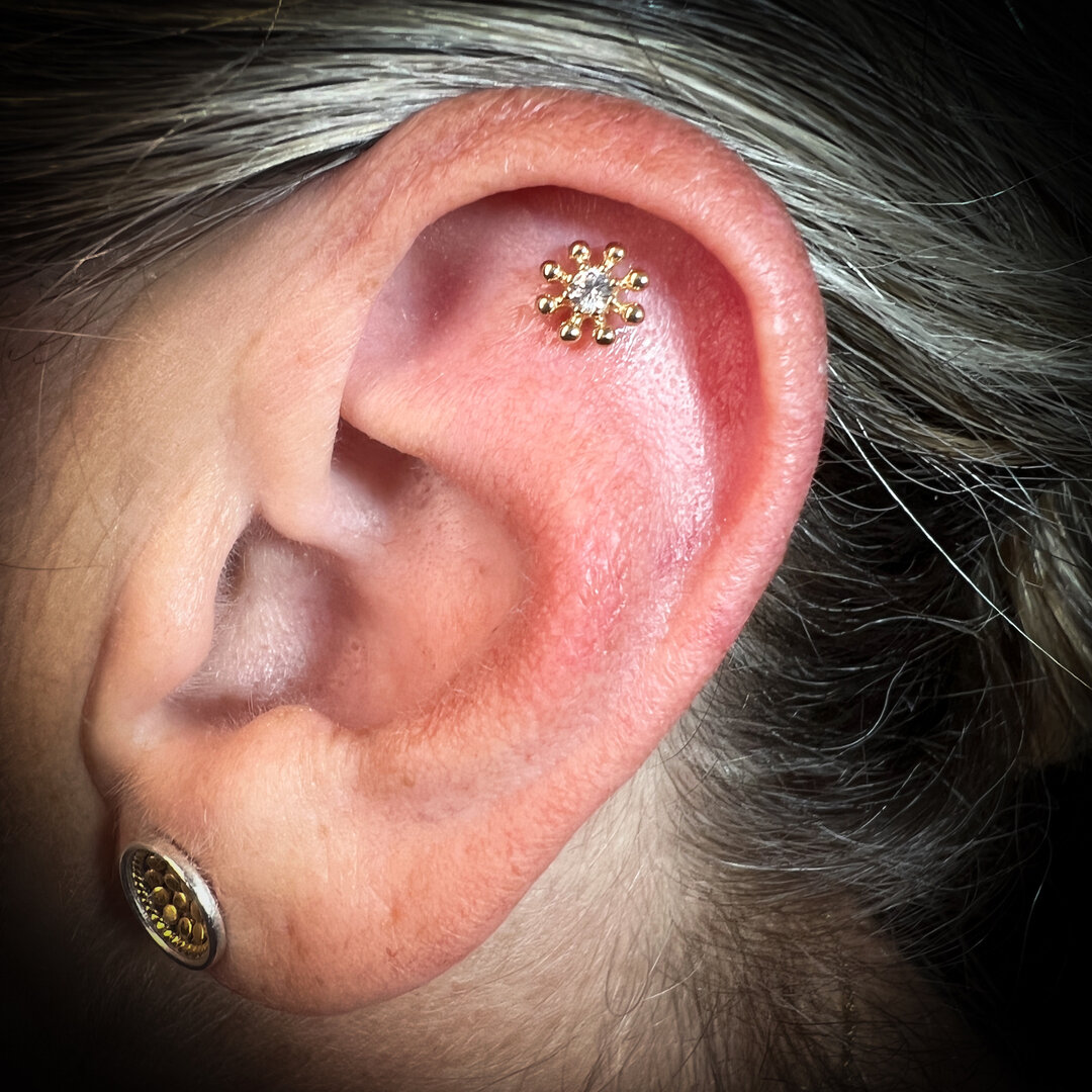 14k gold sunburst piece in a flat piercing! @invictus_bodyjewelry​​​​​​​​
​​​​​​​​
 #houseofcolour #bayshore #pierced #piercingsandtattoos #curativepiercing #girlswithpiercings #longislandpiercing #piercingaddict #piercings #bodypiercing #triplehelix