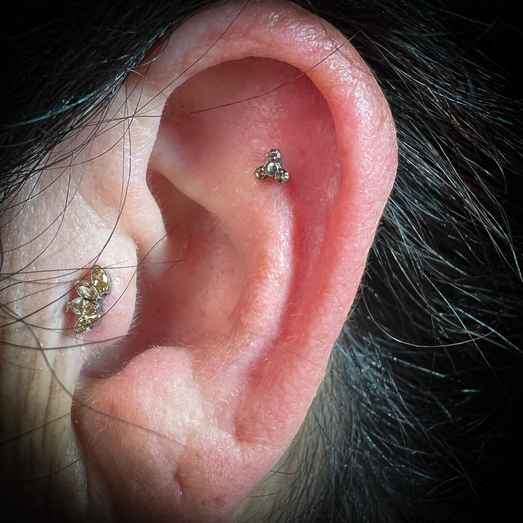 Flat piercing using this coffee trinity from @elementbodyjewelry​​​​​​​​
 #houseofcolour #bayshore #pierced #piercingsandtattoos #curativepiercing #girlswithpiercings #longislandpiercing #piercingaddict #piercings #bodypiercing #triplehelix #helixpie