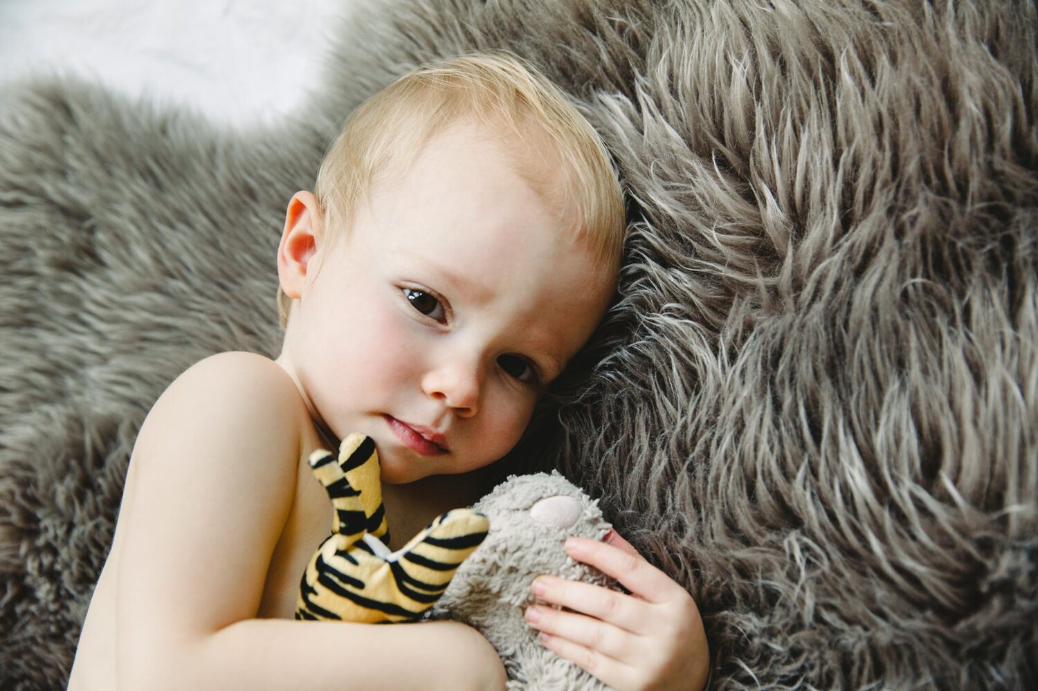 Child Snuggling a tiger stuffed animal by Satya Curcio Photography
