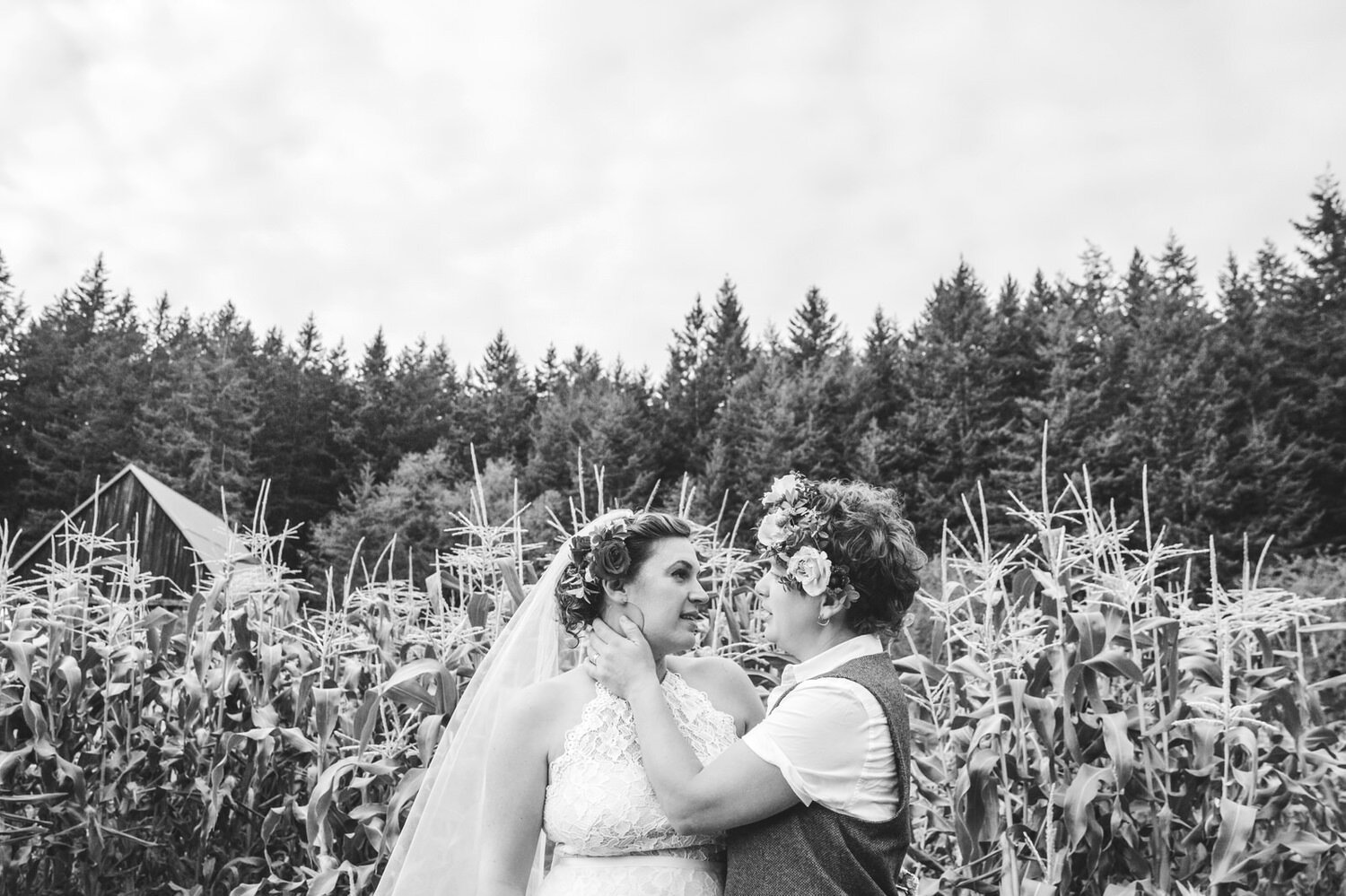 Bride and Bride in Corn Field by Satya Curcio Photography