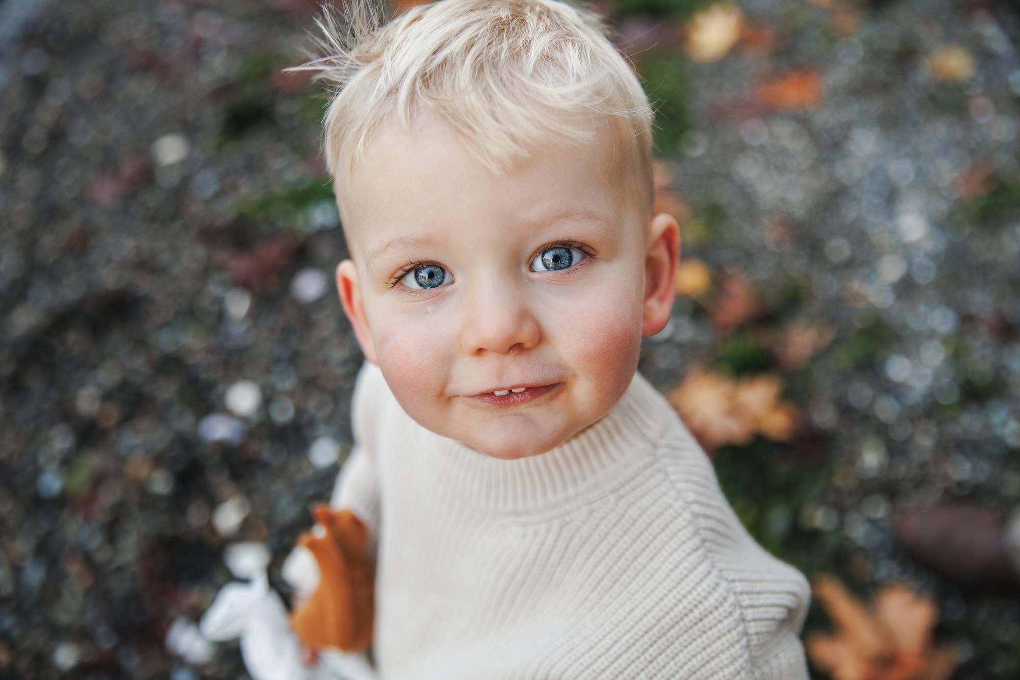 golden-hour-family-photos-san-juan-islands.jpg