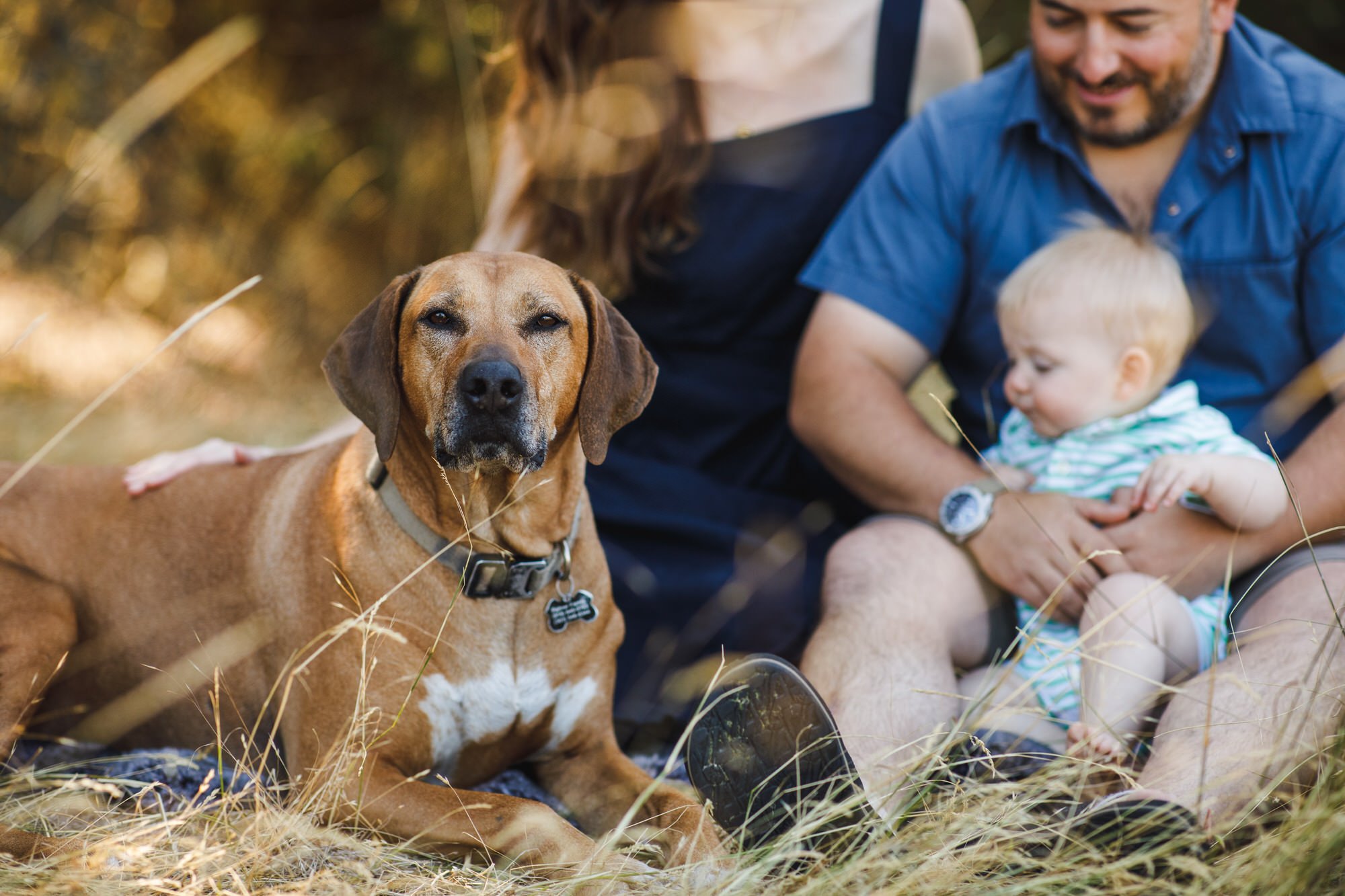 candid-outdoor-family-photo-orcas-island.jpg