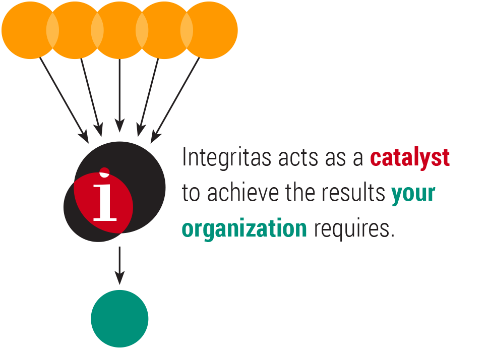 The Company — Integritas®