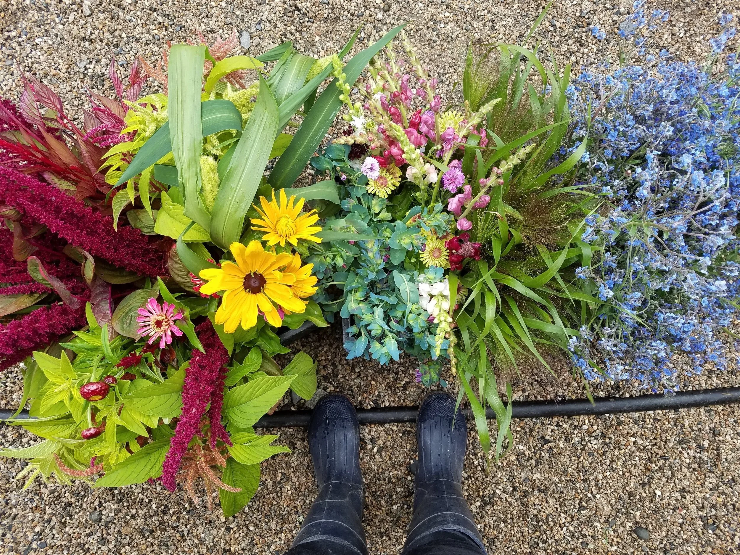 pork-hill-farm_flowers-and-boots.jpg