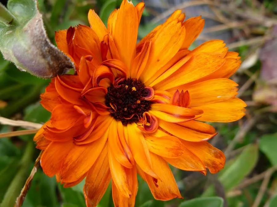 P1000097.JPG