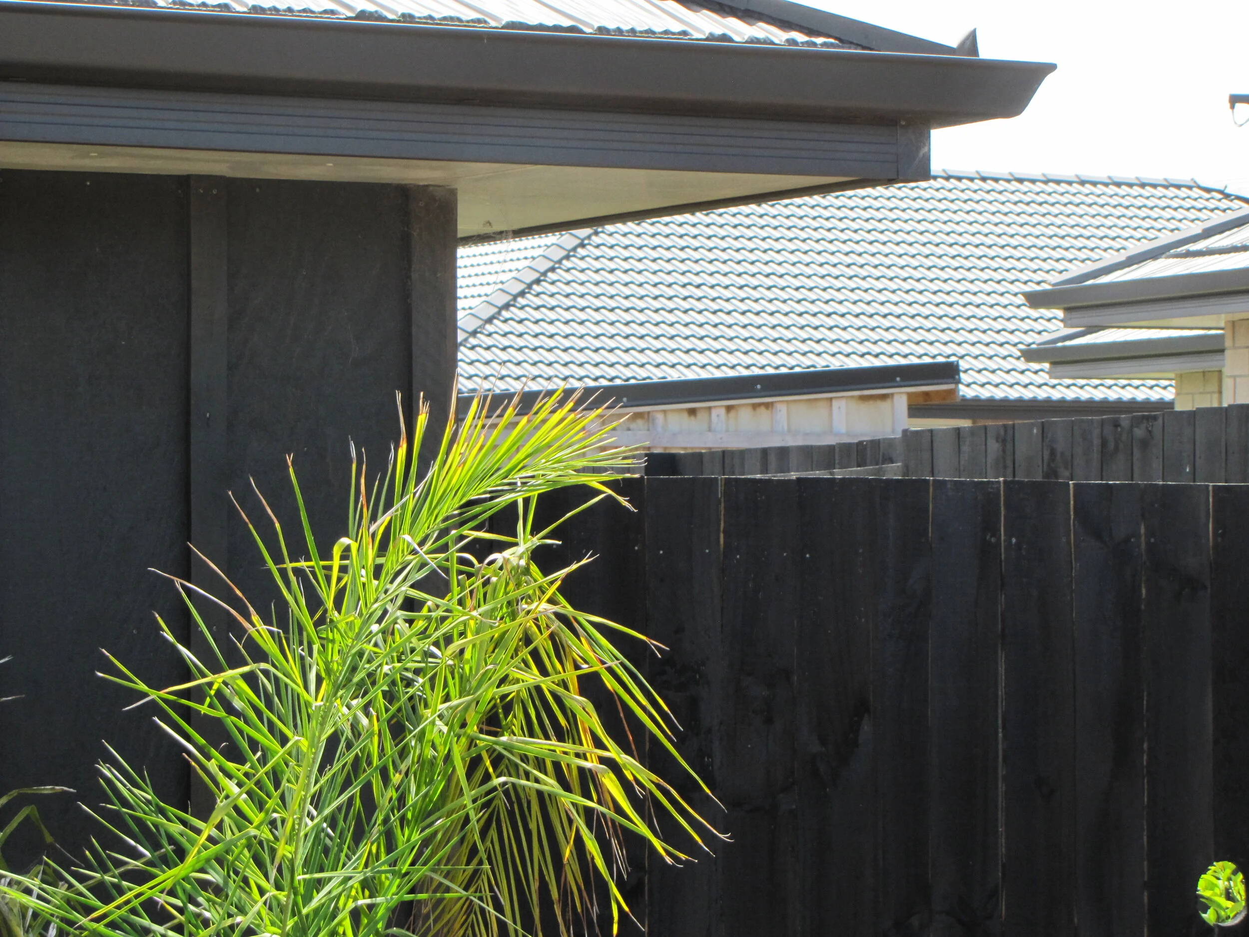 180mm N-line powder coated fascia - continuous group New Zealand 17..JPG