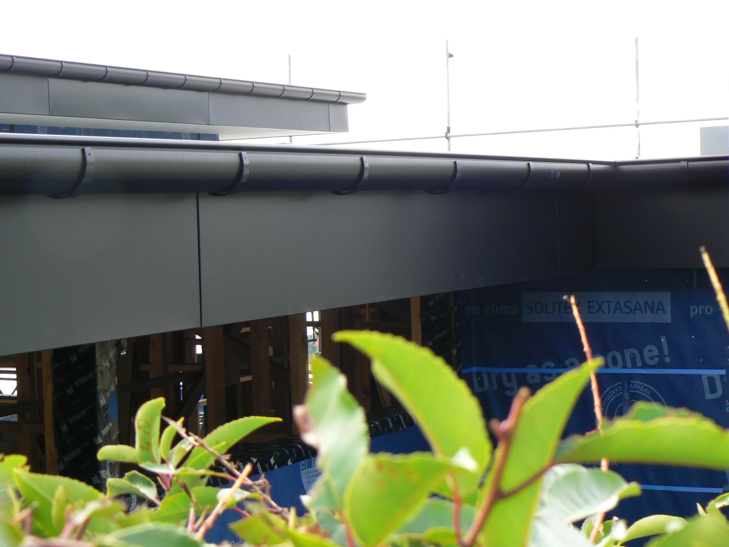 Christchurch 086.JPG