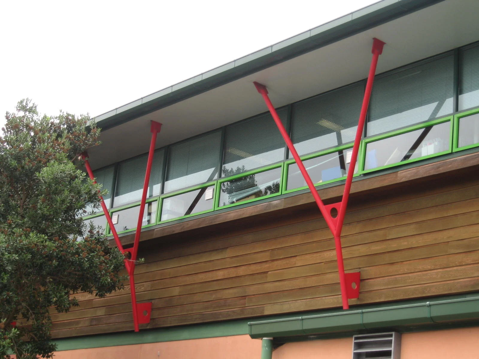 Texan Auckland 5.jpg