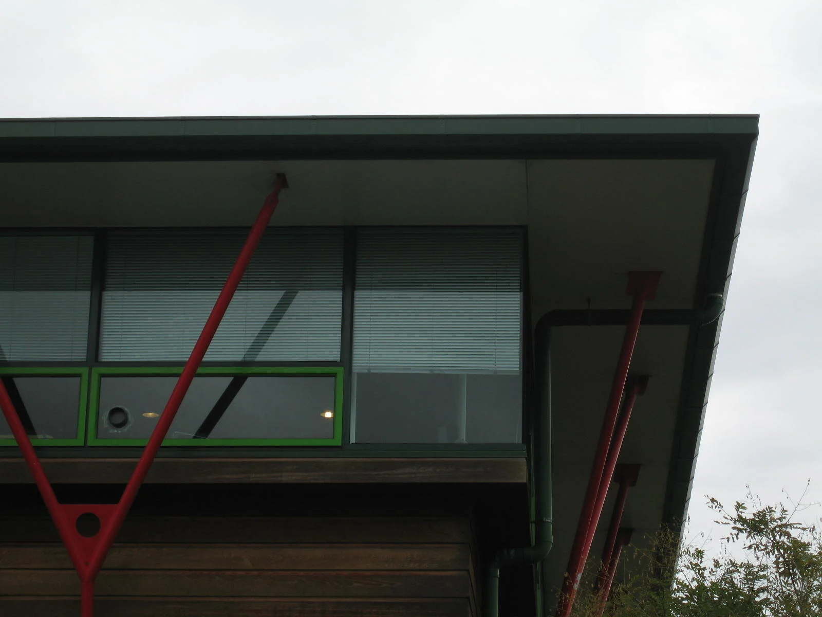 Texan Auckland 8.jpg