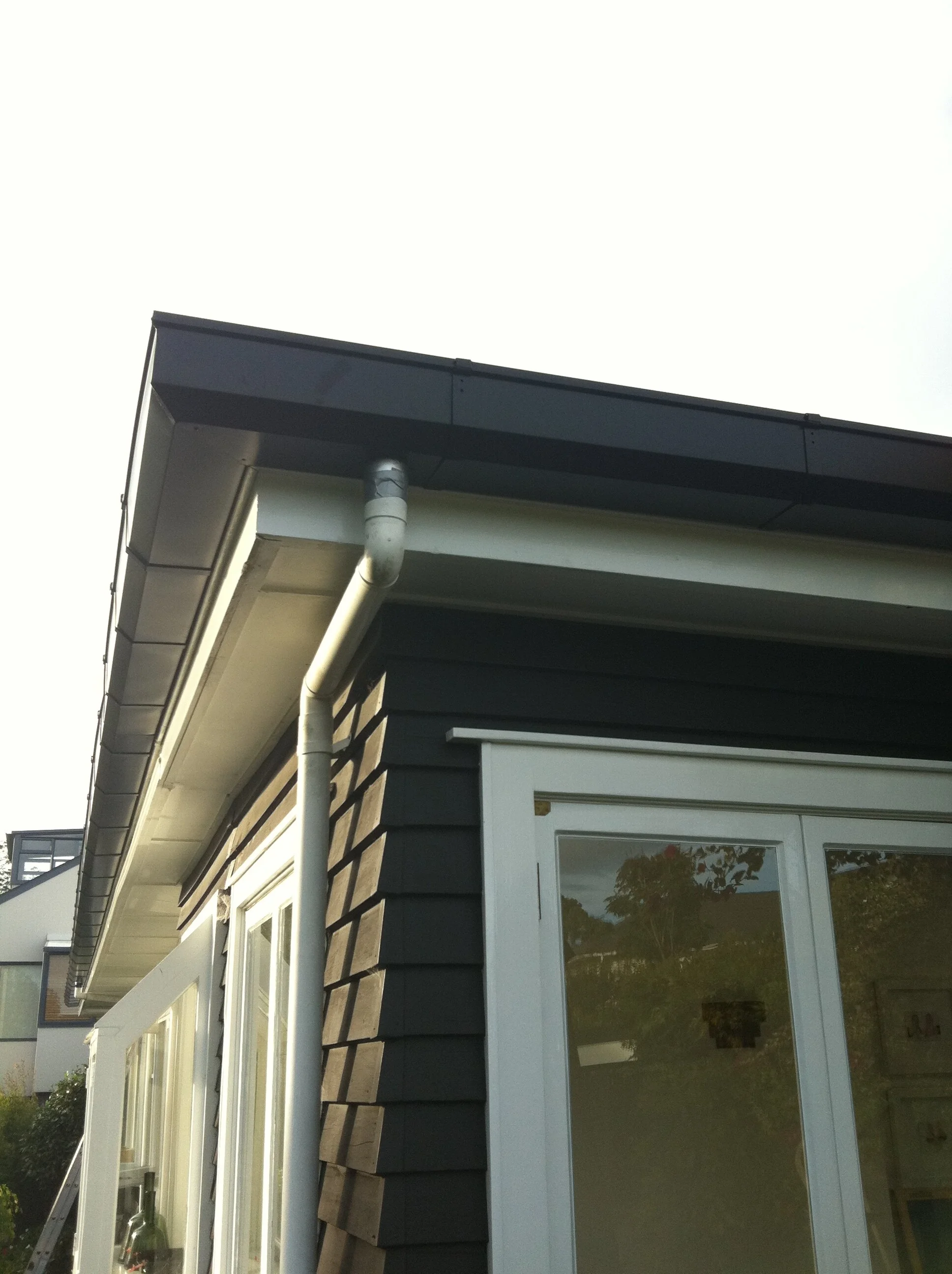 Texan Auckland 2.jpg