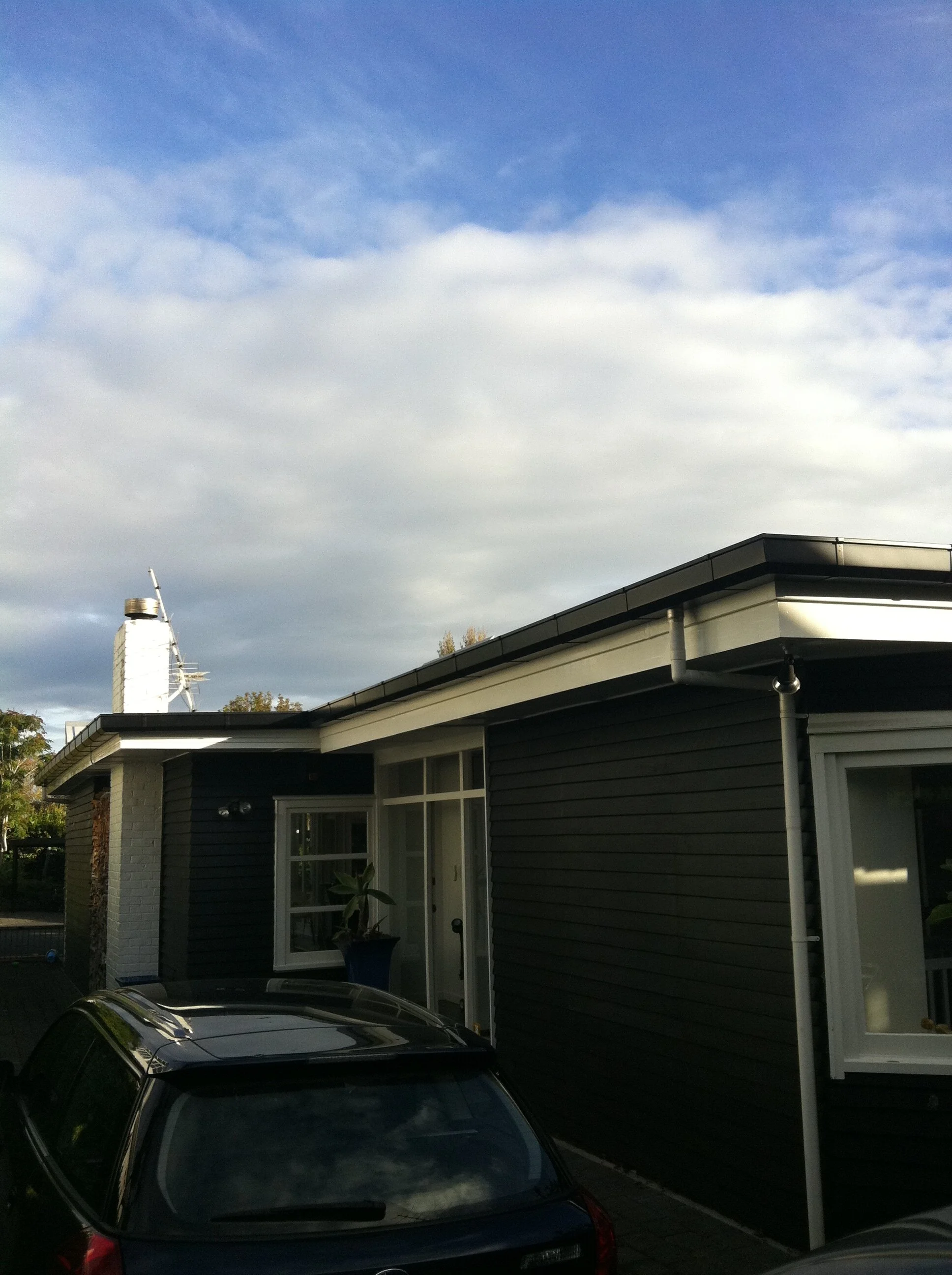 Texan Auckland 3.jpg