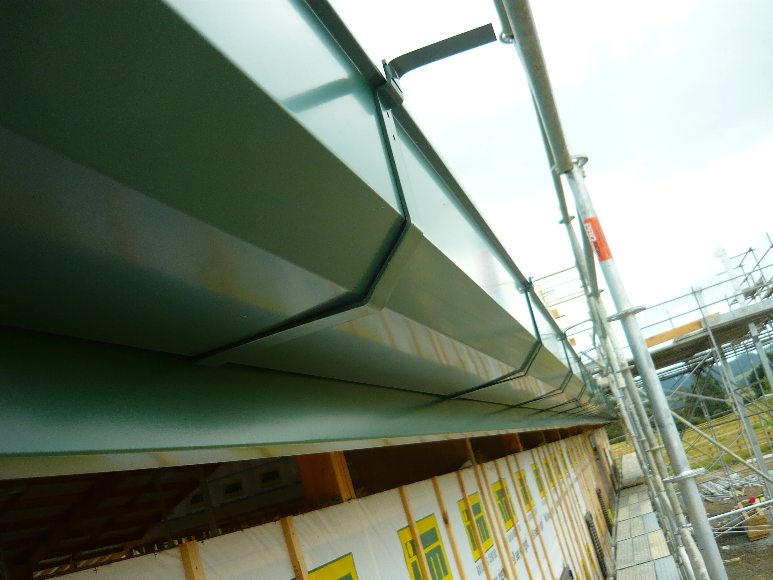 Texan Auckland 10.JPG