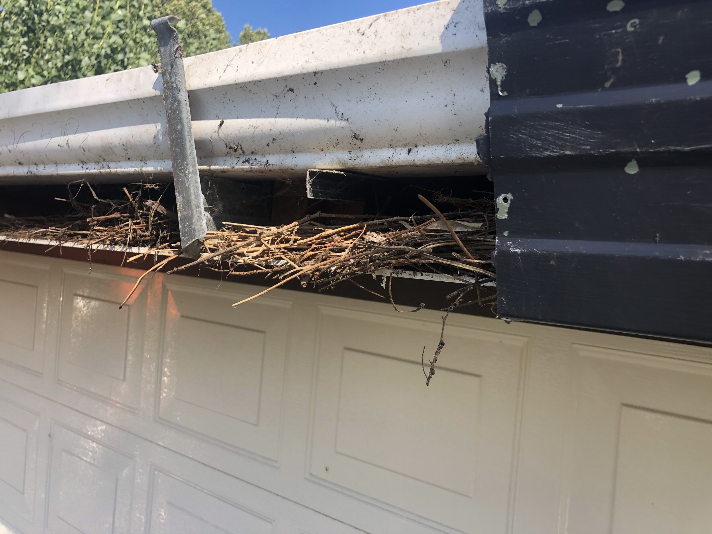 Behind the Fascia panel