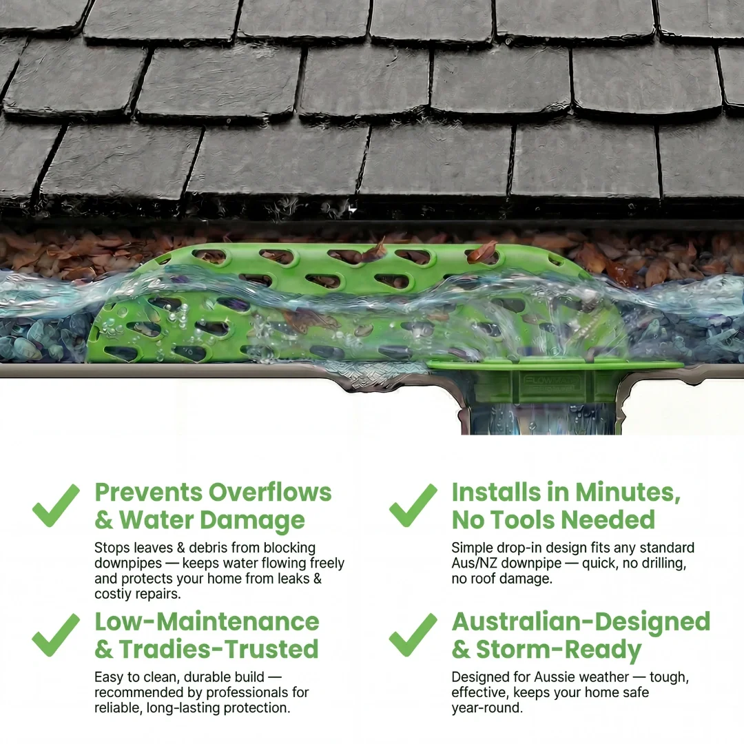 Product Image 2.webp