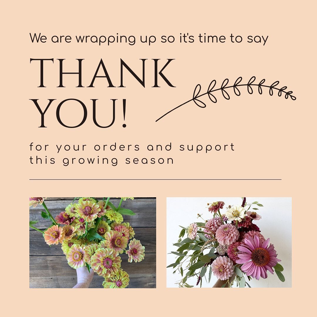 Due to the limited availability of our farm partners, we have made the difficult decision to close the Collective for the remainder of the growing season. It has been a joy to connect so many designers and florists with local blooms this year through