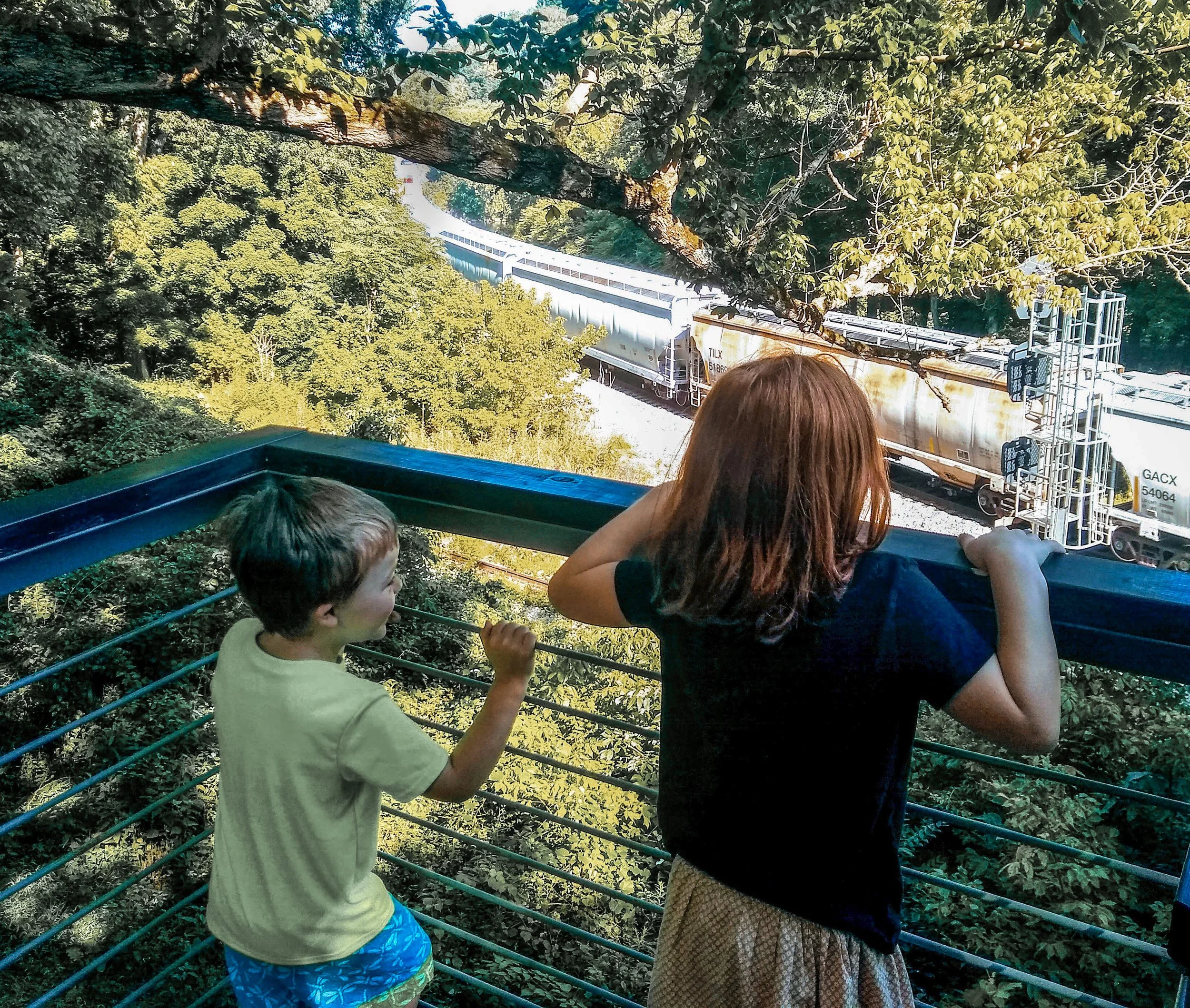 Waggaman A and C on train observatory.jpg