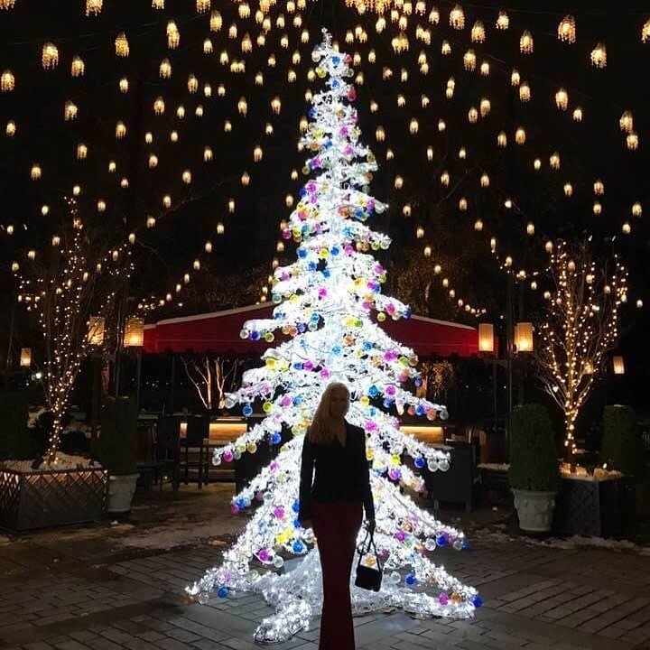 Christmas Silhouette 🎄

I know this year the holidays are looking different for us.  I have been looking at Christmas pictures from the last few years. This one was taken at Tavern on the Green in NYC 2017💜

It reminds me how we need to be so grate
