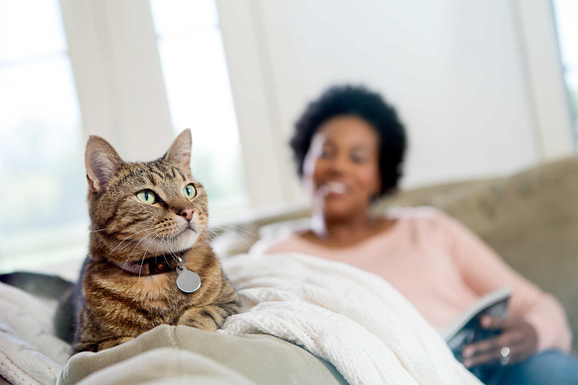 AWS_Elanco_living_room_1517.jpg