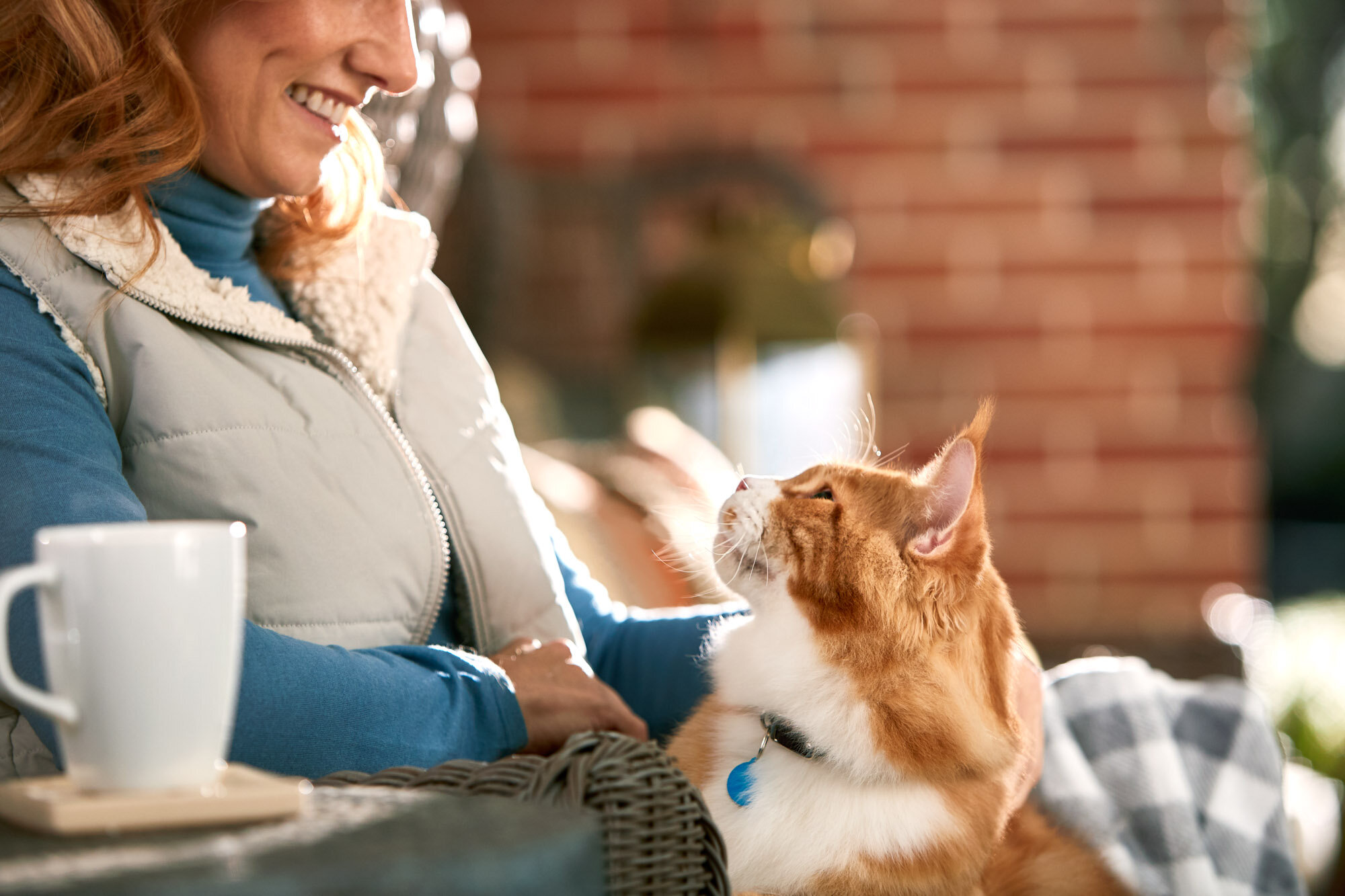 aws_elanco_03_cat_lap_2462.jpg