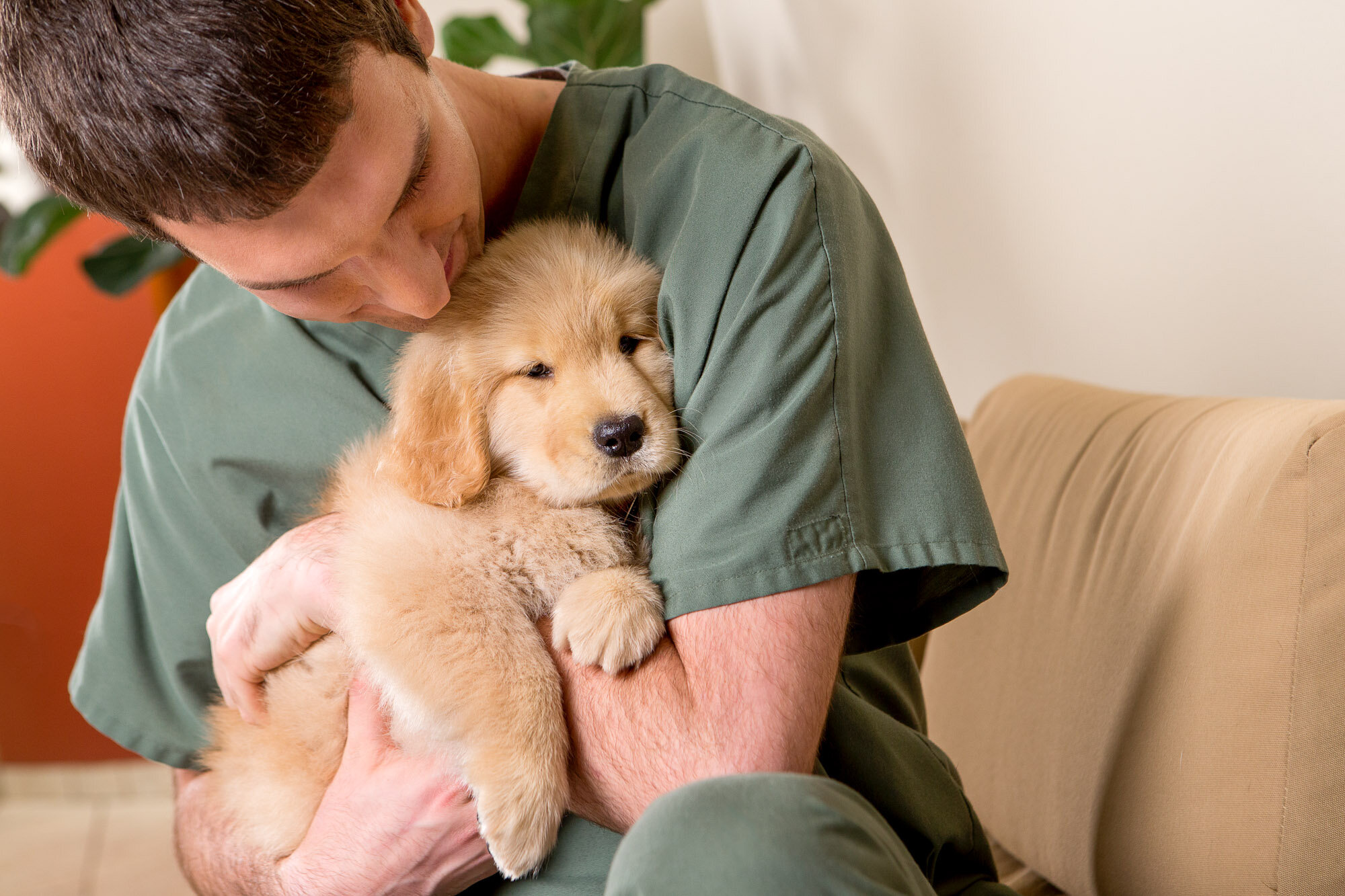 151213_elanco_walsh_lobby_puppies_golden_retriever_12661.jpg