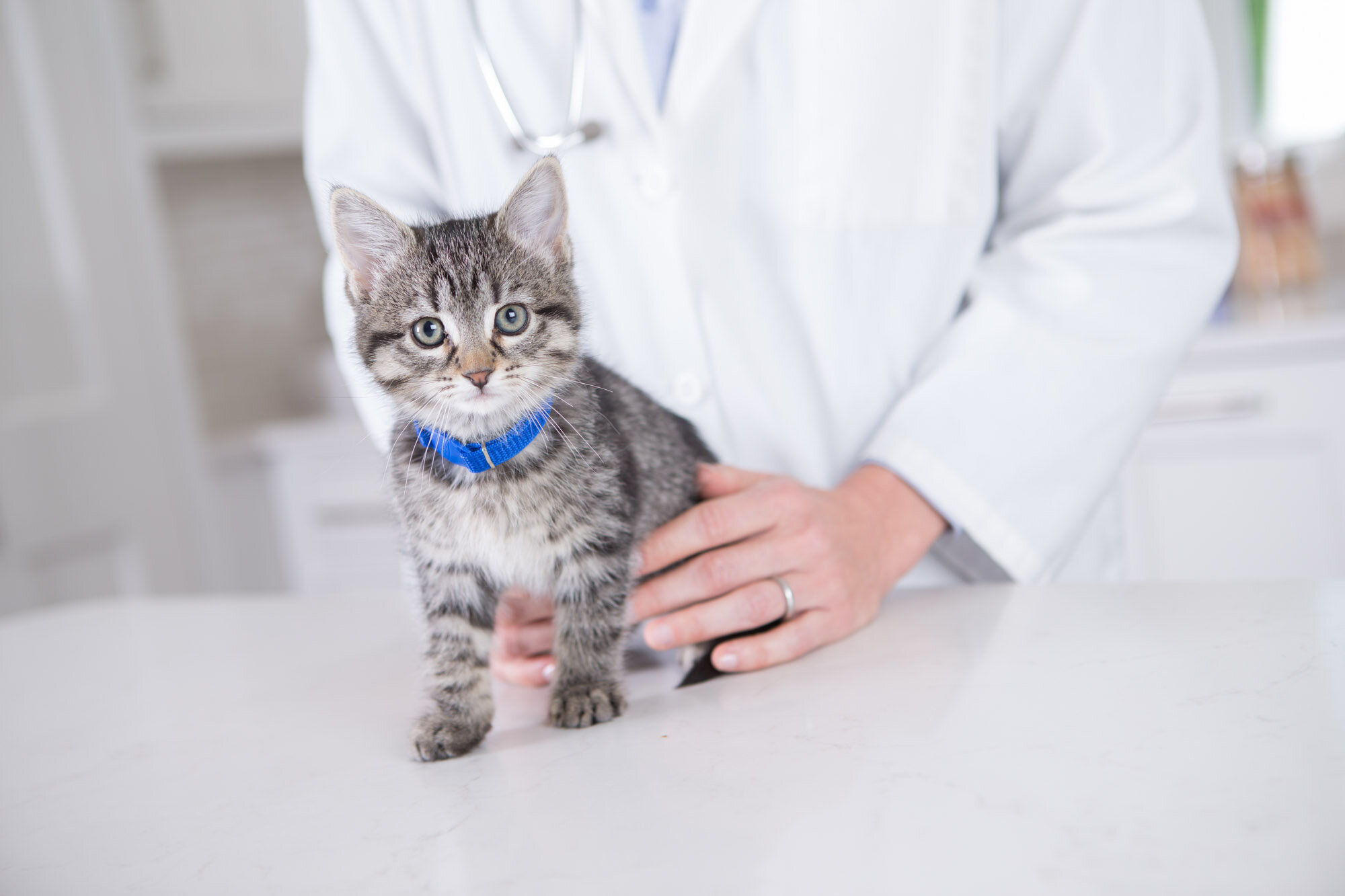 AWS_Elanco_Doctors_Office_2492.jpg
