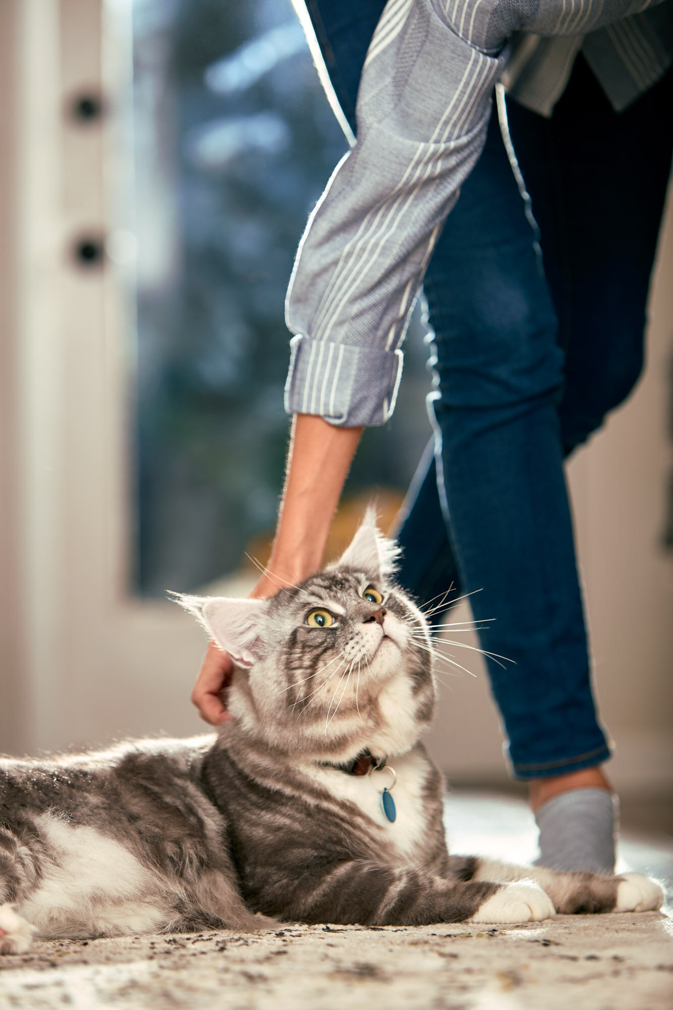 aws_elanco_05_cat_owner_kitchen_3809.jpg