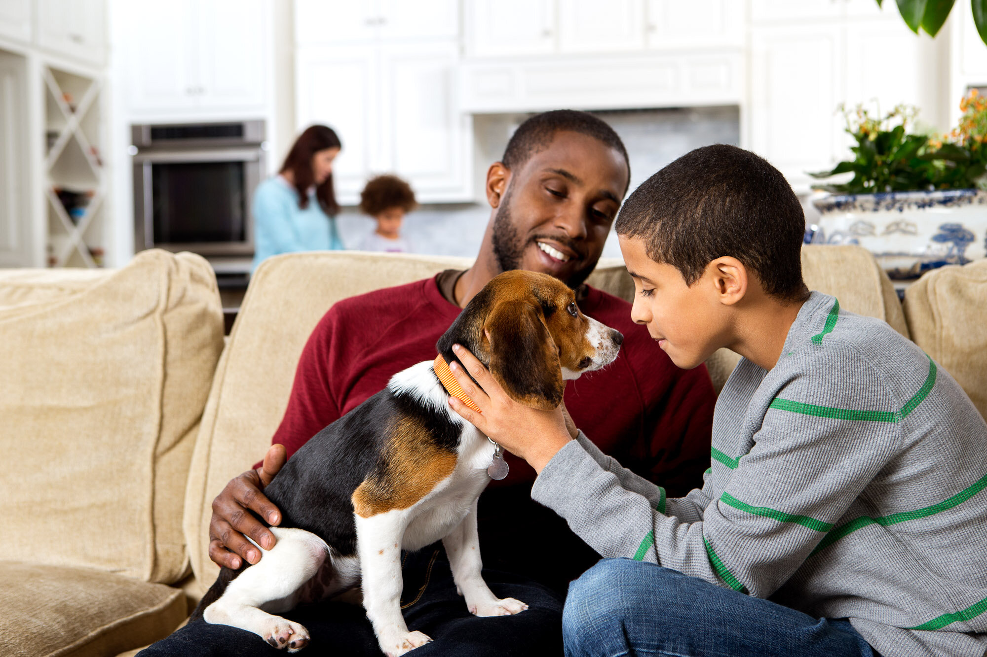 151214_elanco_walsh_family_setup_01_beagle_family_13587.jpg