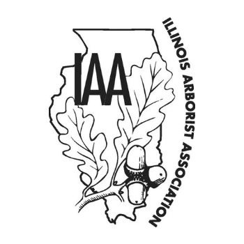 IAA