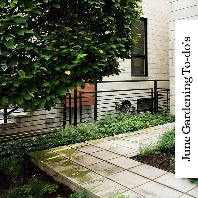 Buen dia friends, you know how Chicago is... summer is here! Here&rsquo;s your monthly to-do list 🏡🌼🧰⁣⁣
⁣⁣
In 2016, Christy Webber Landscapes Design team partnered with The Chicago Greystone &amp; Vintage Home Program to develop a comprehensive se