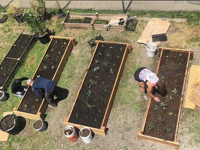Hey friends. Christy donated soil, mulch, and compost to @PlantChicago⁣ for their outdoor raised beds at their new location! ⁣
⁣
They&rsquo;re repurposing a former firehouse into a center for circular economic programming which will include indoor an