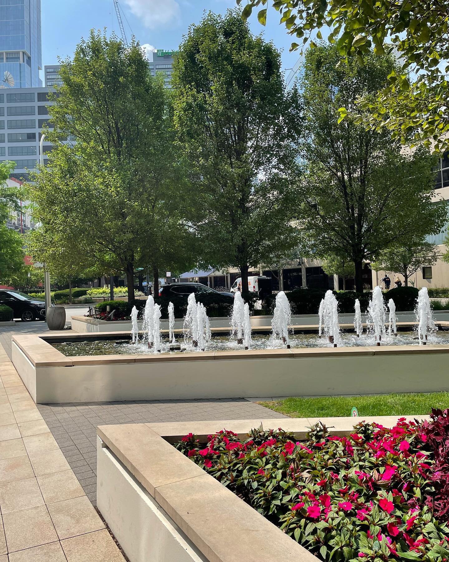 The Hubbard Place has a front-facing landscape that remains fresh and engaging with a 4-season annual rotation!

#christywebber #rivernorthchicago #hubbardplace #hubbardplacechicago #rivernorth #christywebberlandscapes