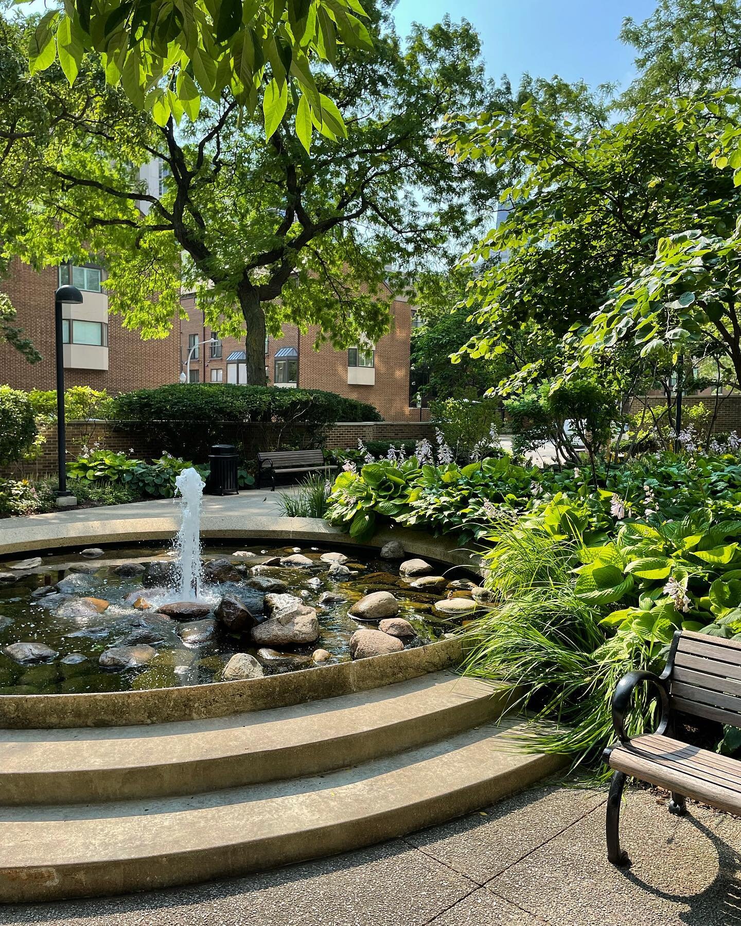 Our high-quality landscaping services are perfect for your city home. We work closely with property managers and condominium boards to achieve your landscaping dreams. 

#carlsandburg #carlsandburgvillage #chicagocondos #chicagoliving #cityscape #cit