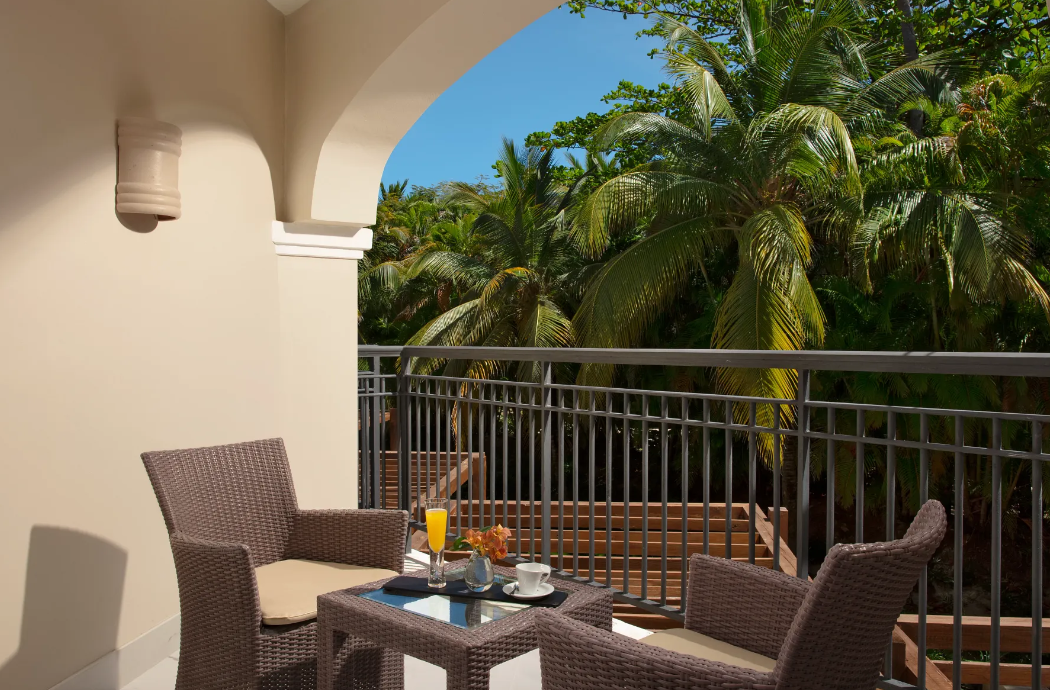Junior Suite Tropical View - Terrace.png