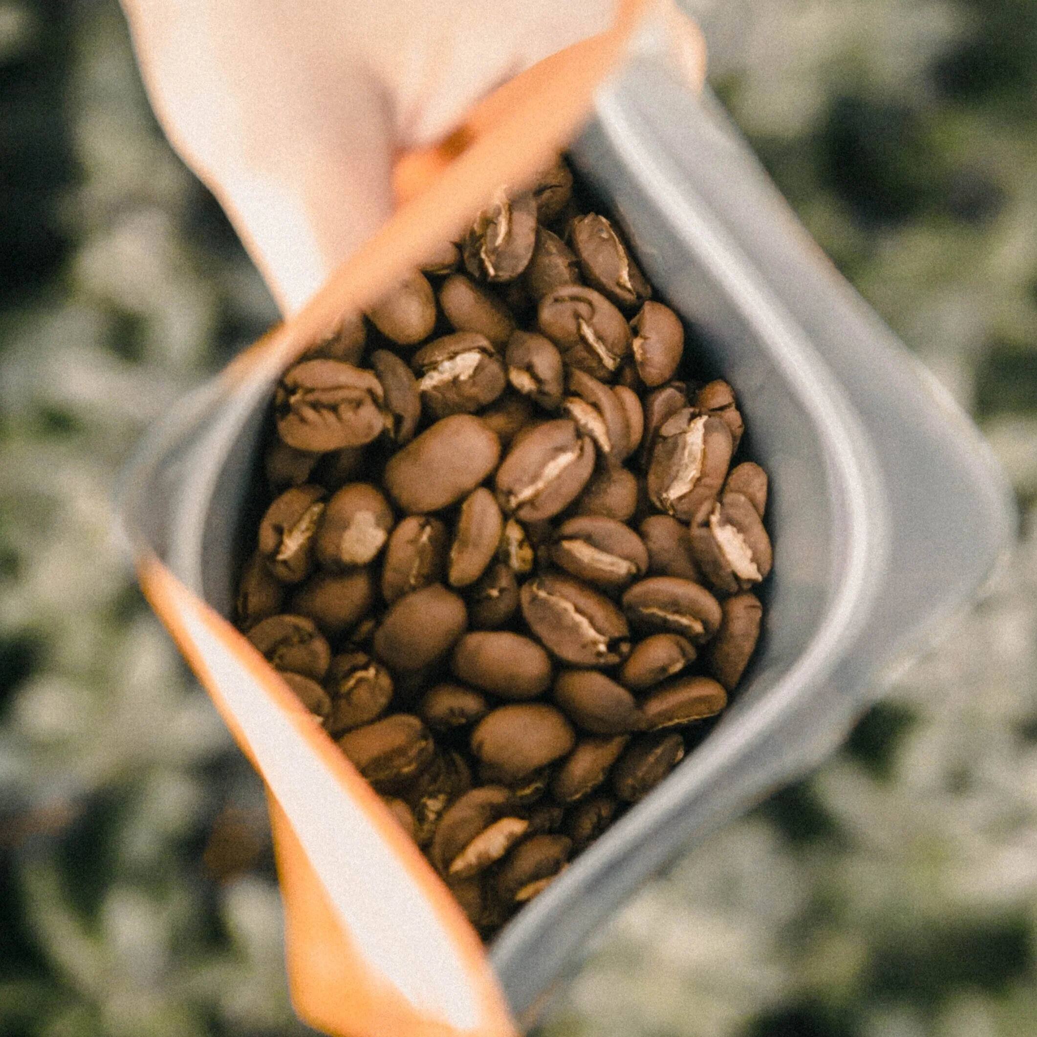 Open Bag of Coffee