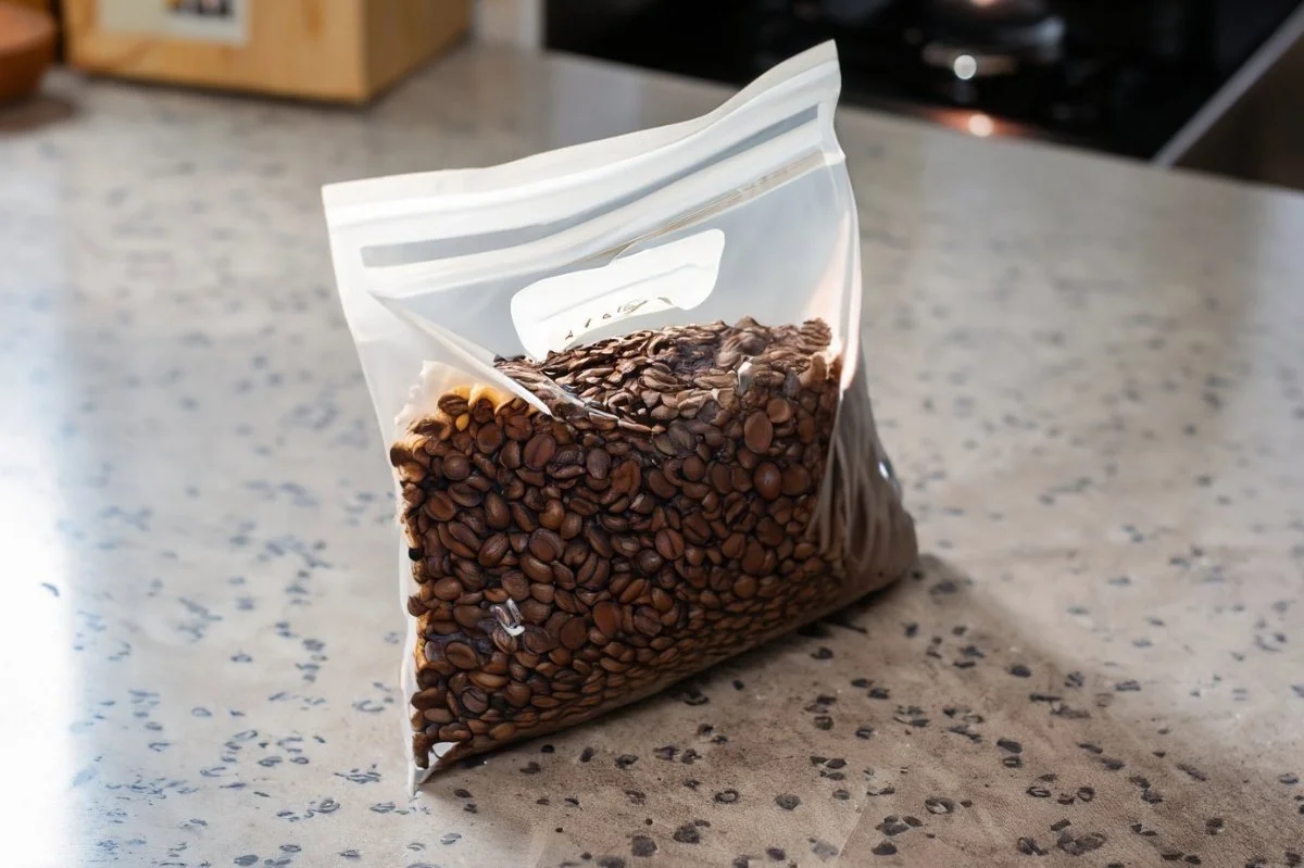 Does Freezing Coffee Beans Keep Them Fresh? Home Coffee Tips