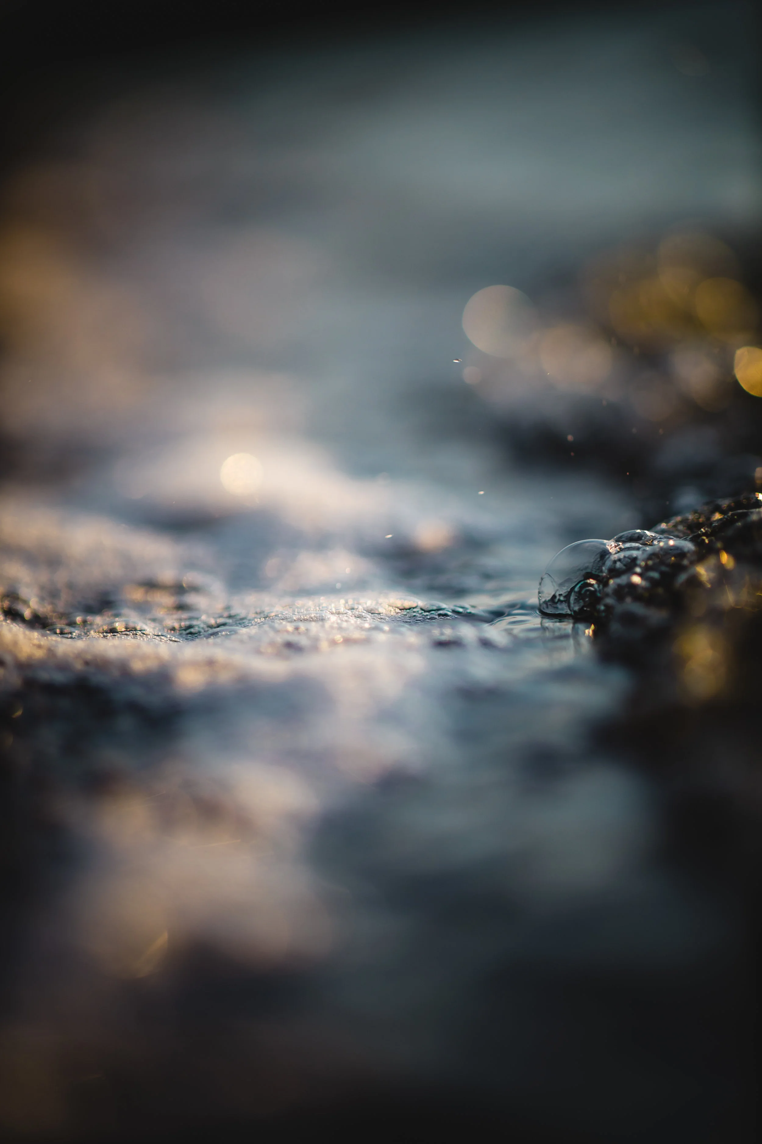 სათაური სათაური