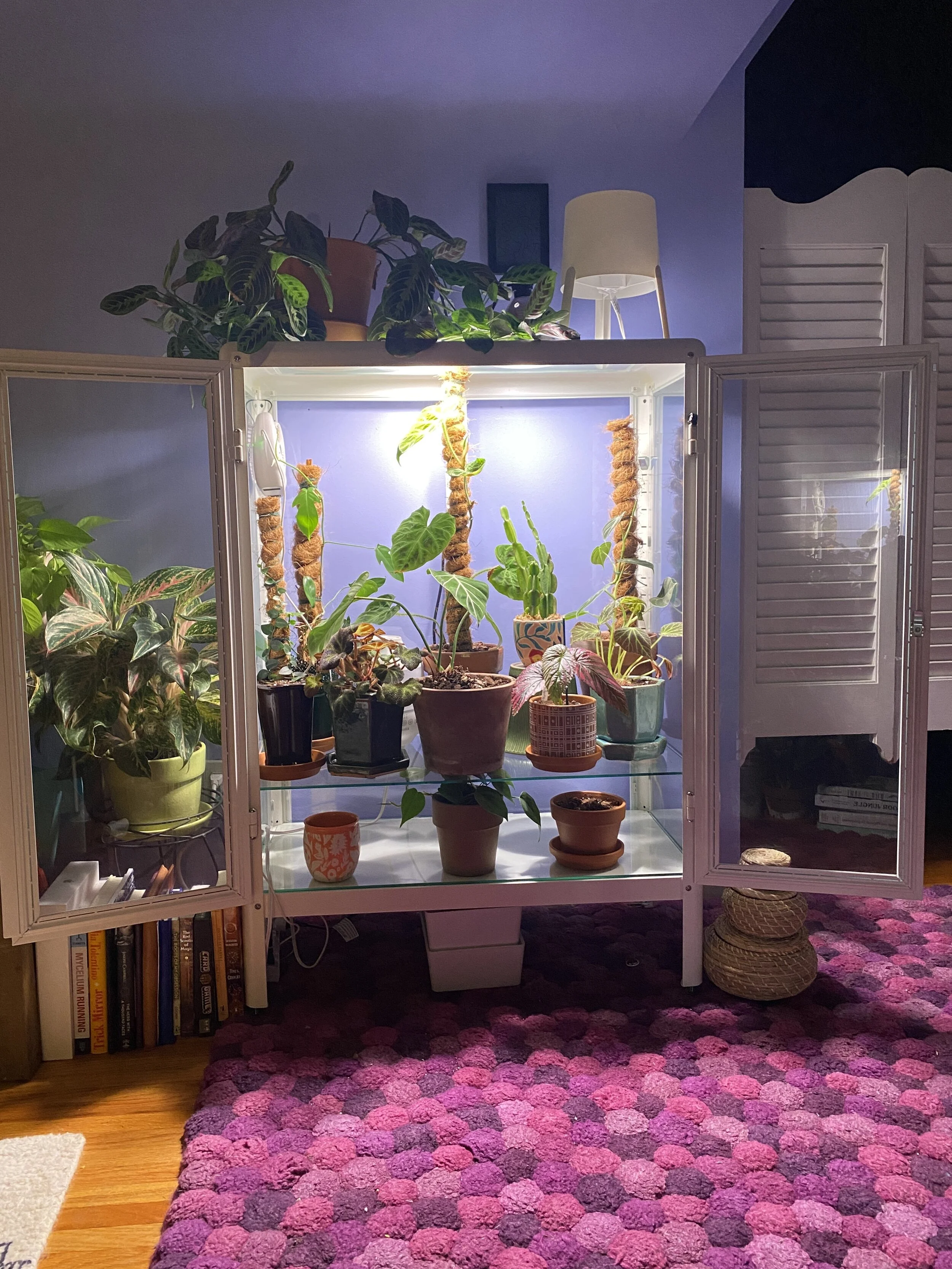Building a Greenhouse Cabinet