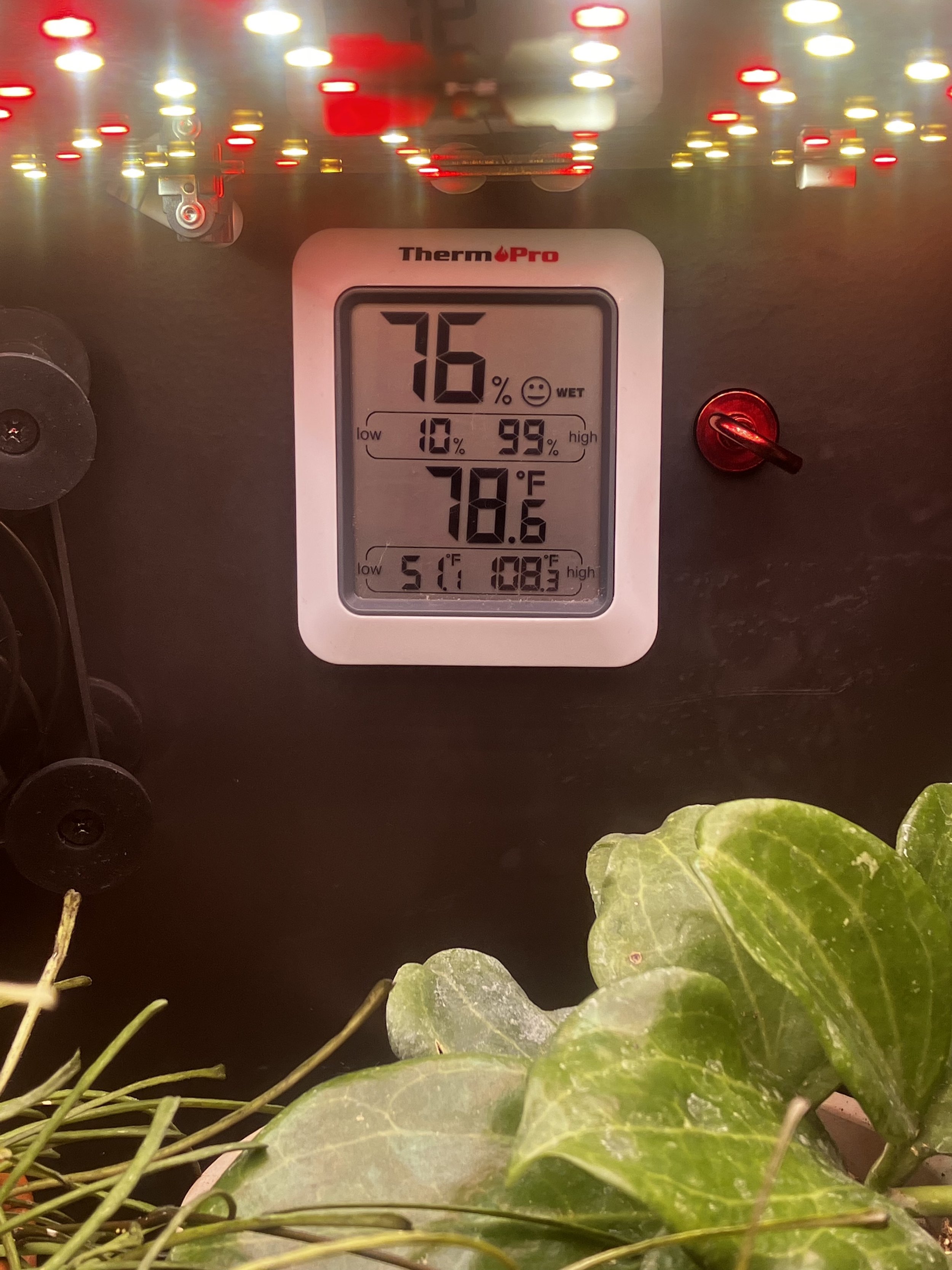 ThermoPro TP50 Digital Hygrometer Indoor Thermometer - my little plant shop