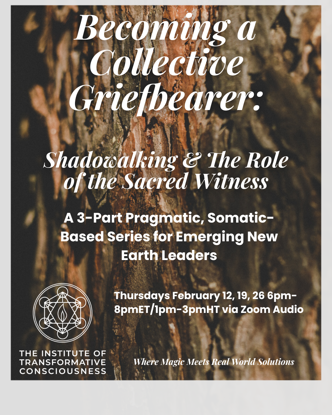 Becoming a Collective Griefbearer: A 3-Part Series for Emerging New Earth Leaders