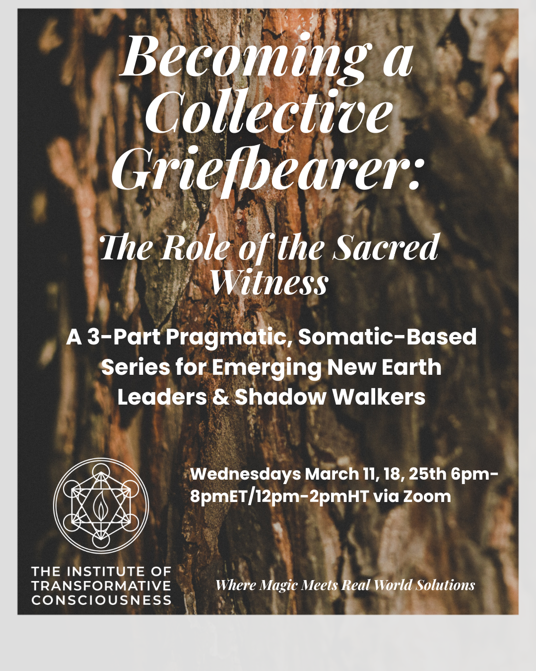 Becoming a Collective Griefbearer: A 3-Part Series for Emerging New Earth Leaders