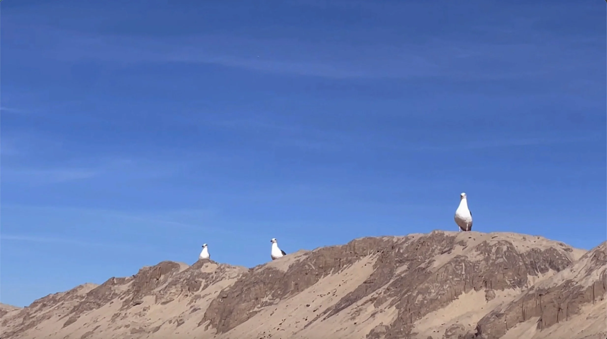 Screenshot 2024-02-06 at 12.30.40 AM.jpg