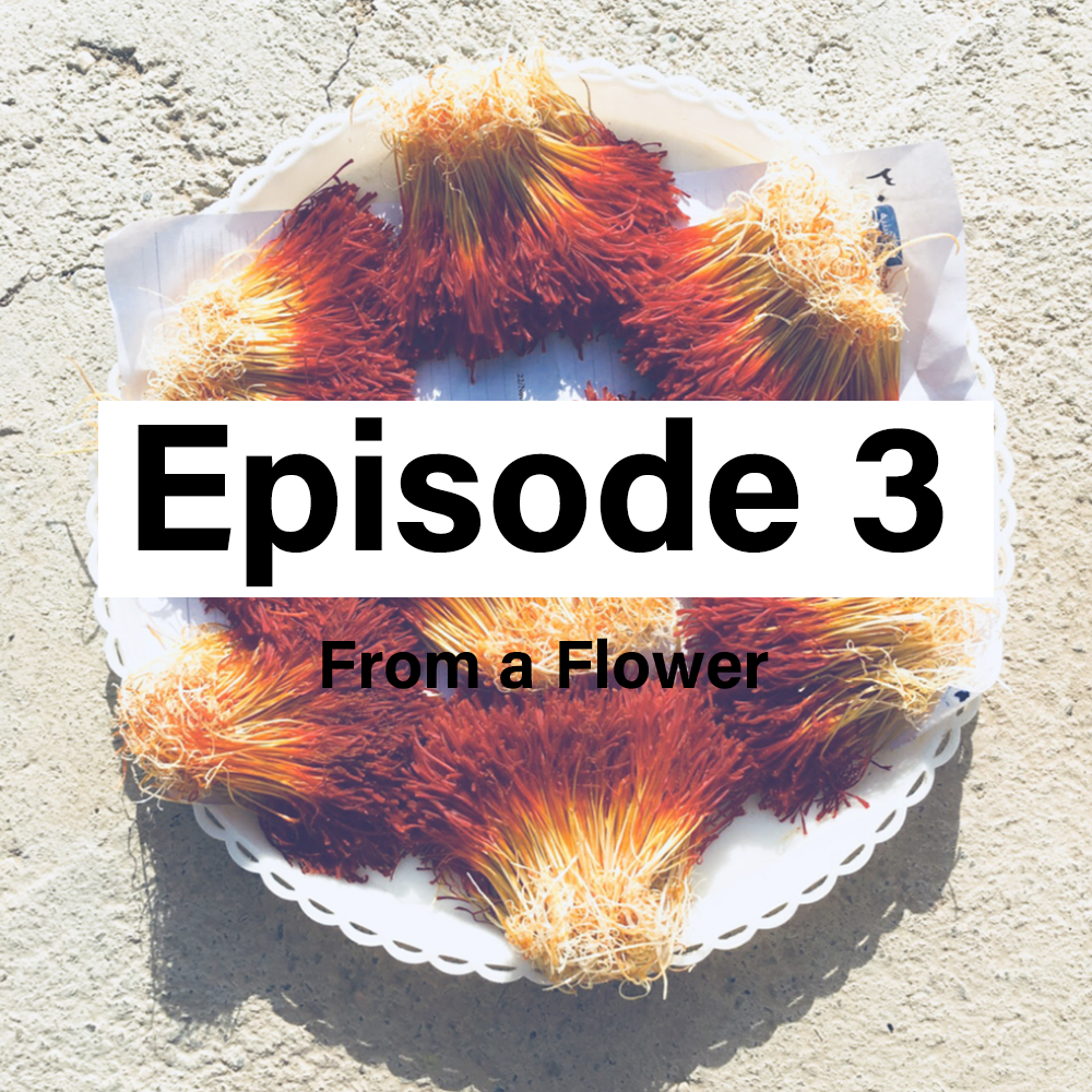 Point of Origin Episode 3