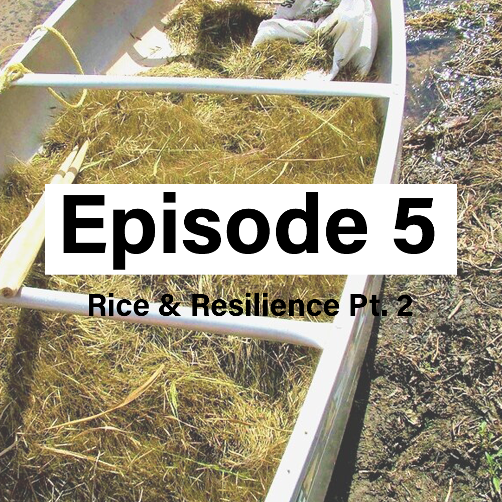 Point of Origin Episode 5