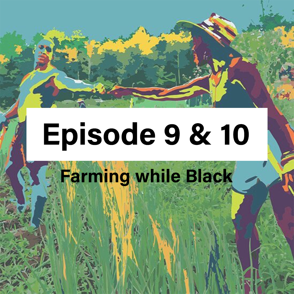 Point of Origin Episode 9 &amp; 10